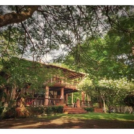 Hotel Ceiba Bonga Acandí Eksteriør bilde