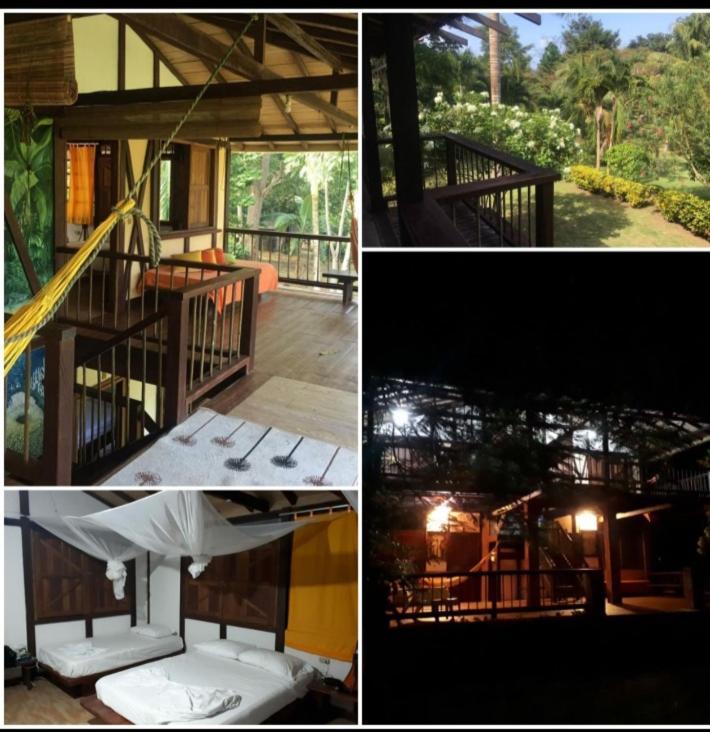 Hotel Ceiba Bonga Acandí Eksteriør bilde