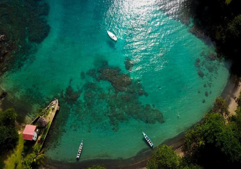 Hotel Ceiba Bonga Acandí Eksteriør bilde