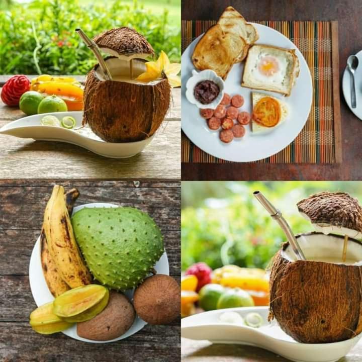 Hotel Ceiba Bonga Acandí Eksteriør bilde