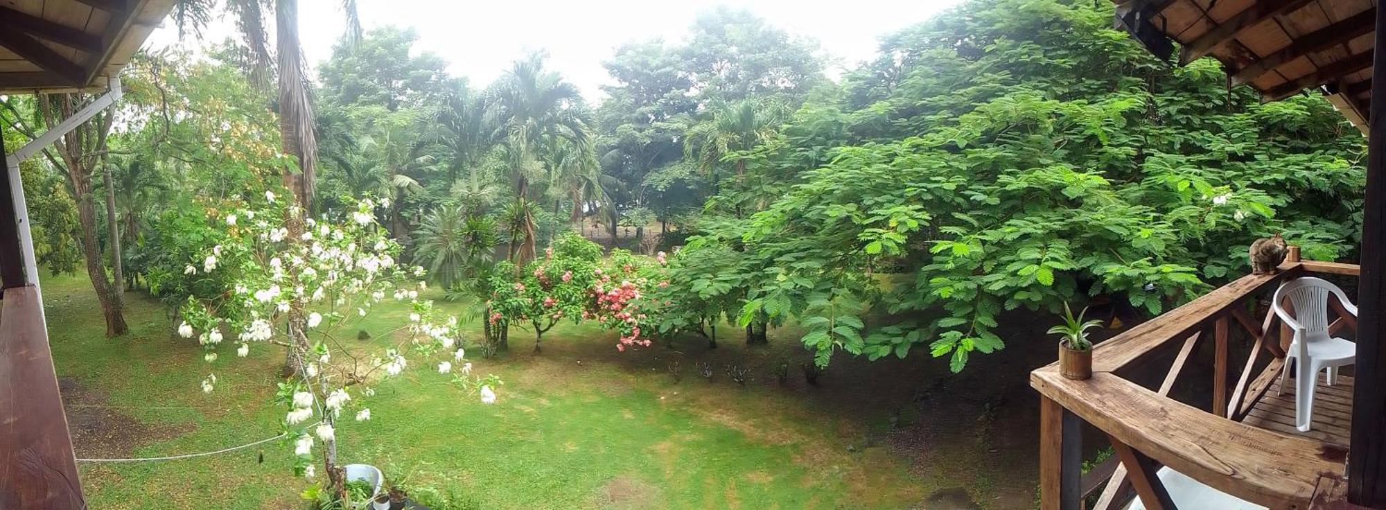 Hotel Ceiba Bonga Acandí Eksteriør bilde